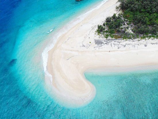 世界遺産フランクランドアイランドクルーズ　無人島でシュノーケリングや島内散策ツアーなど豊富なアクティビティも満喫！＜昼食付／シュノーケル器具無料貸出＞