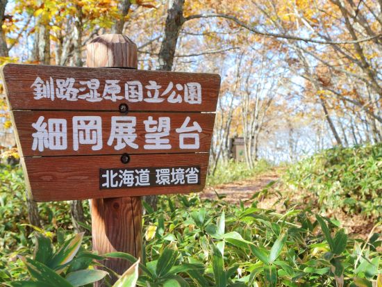 観光タクシー 釧路町コース 細岡展望台から釧路湿原を一望＜釧路発＞ by 釧路日交タクシー