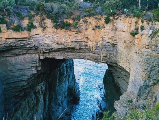 オーストラリア最大の監獄跡ポート・アーサー＆「死者の島」ハーバークルーズ　19世紀この地で起こった歴史をたどる旅＜英語／ホバート発着＞