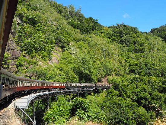 世界遺産キュランダ（鉄道＆スカイレール） レインフォレステーション付きorガイドなし自由散策から選べるプラン ＜日本語ガイド／昼食付＞