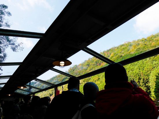 Arashiyama_Sagano Romantic Train_pixta_43541451