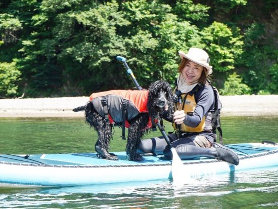 【愛犬・愛猫連れOK】定山渓 豊平川渓谷SUPツアー 豊かな自然あふれる渓谷の間をゆるやかに進む！気持ちの良いリフレッシュ体験＜4～11月／埜のてらす集合＞